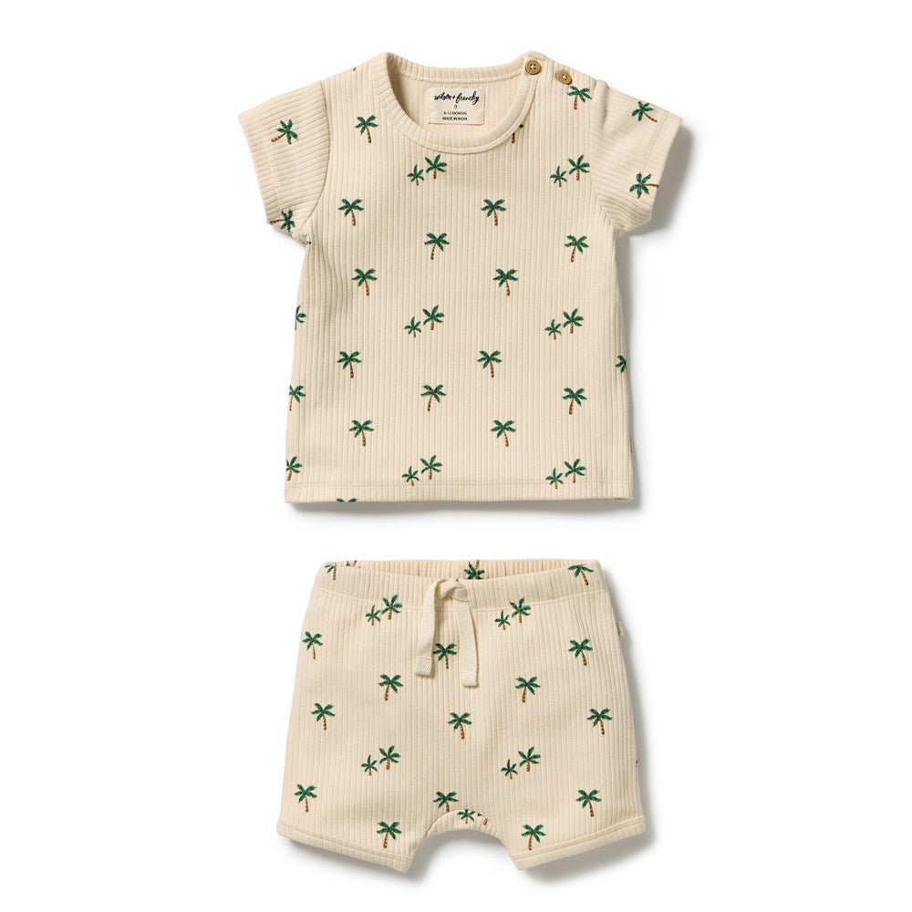 Wilson and Frenchy Tiny Palm Organic Set in Tiny Palm