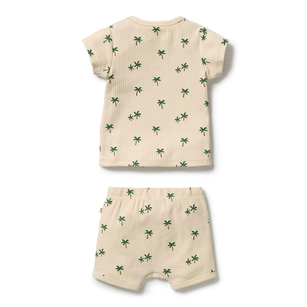 Wilson and Frenchy Tiny Palm Organic Set in Tiny Palm