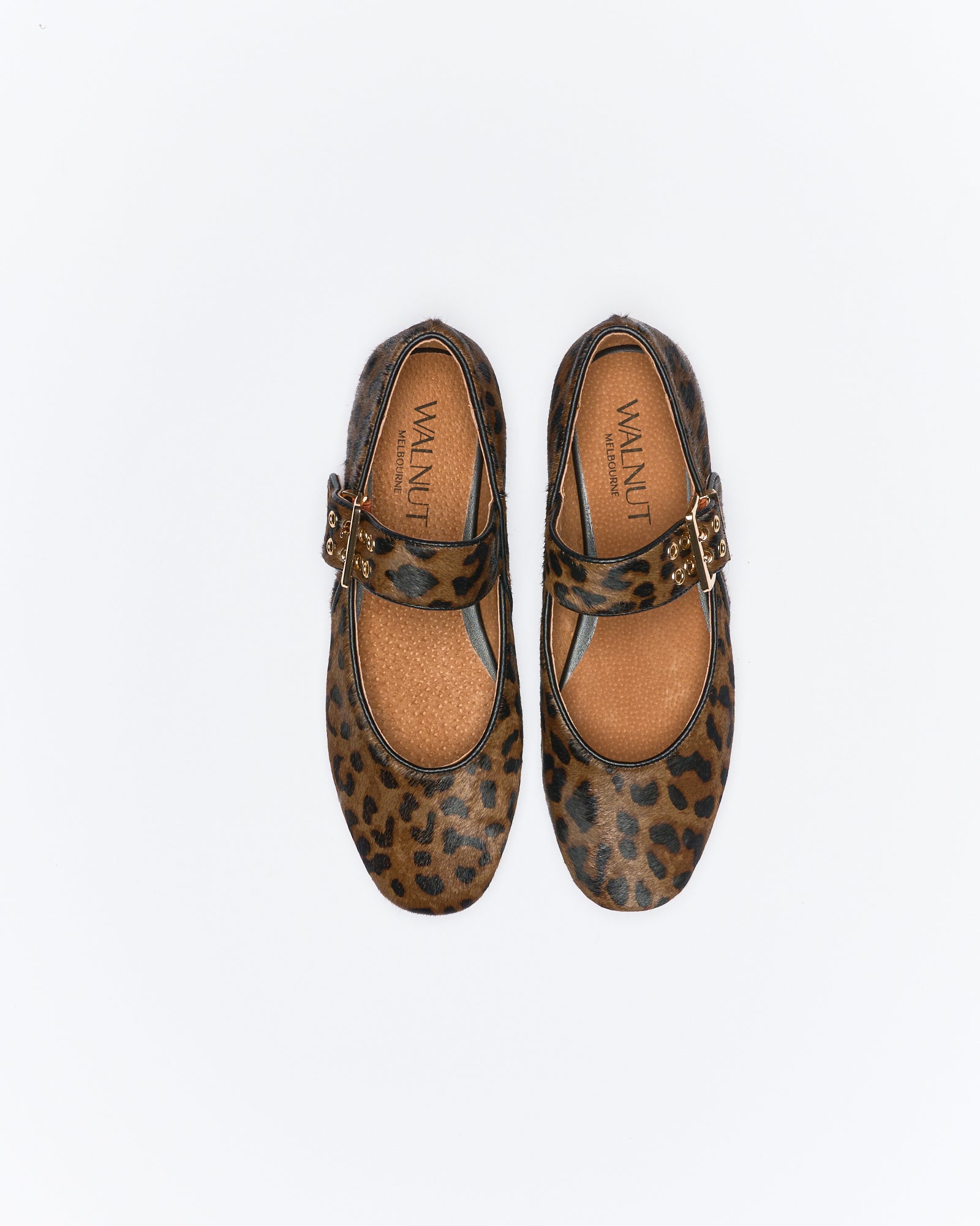 Walnut Melbourne Blaise Leather Ballet in Choc Leopard