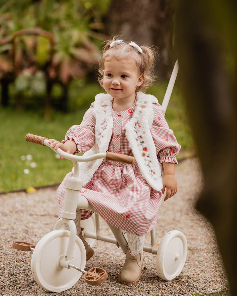Fox & Finch Orchard Bloom Emb. Check Dress 3-7 Yrs in PINK