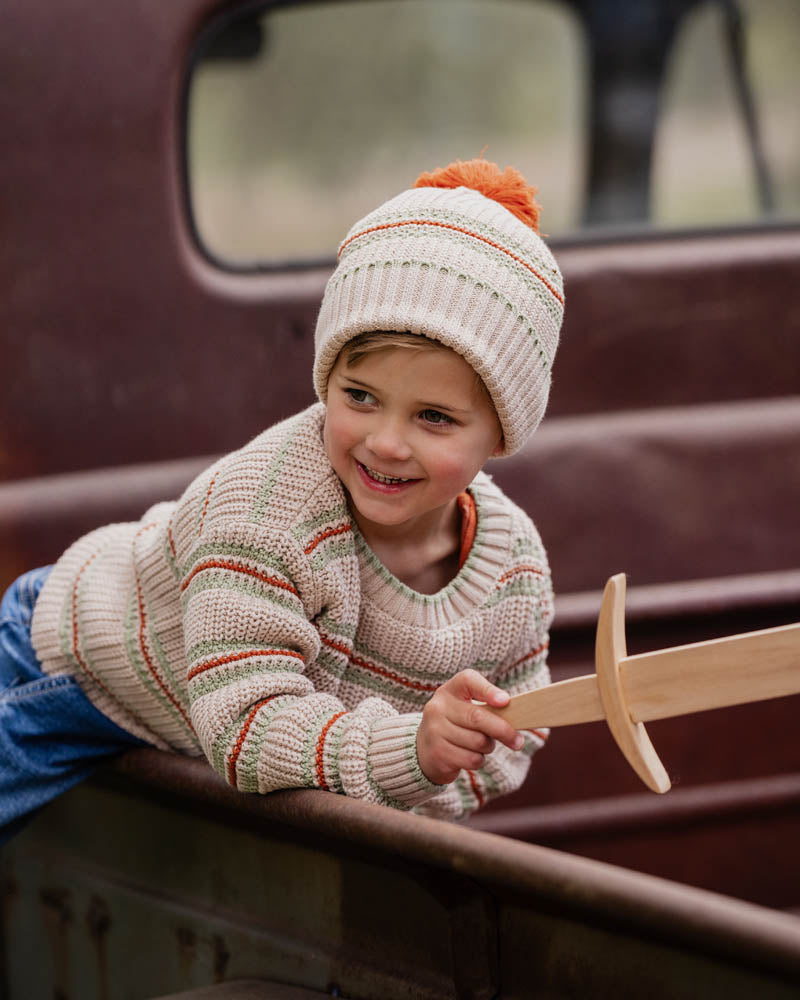 Fox & Finch Wild Side Stripe Knitted Beanie in MULTI