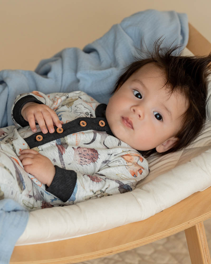 Fox & Finch Outback Adventure Romper in MULTI