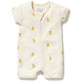Wilson & Frenchy - Piney Pals Organic Pointelle Boyleg Zipsuit (WFS25)