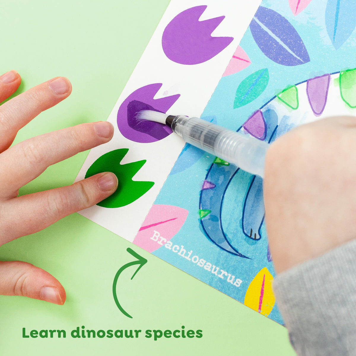 Tiger Tribe Paint a Picture Set - Dinosaurs in Single