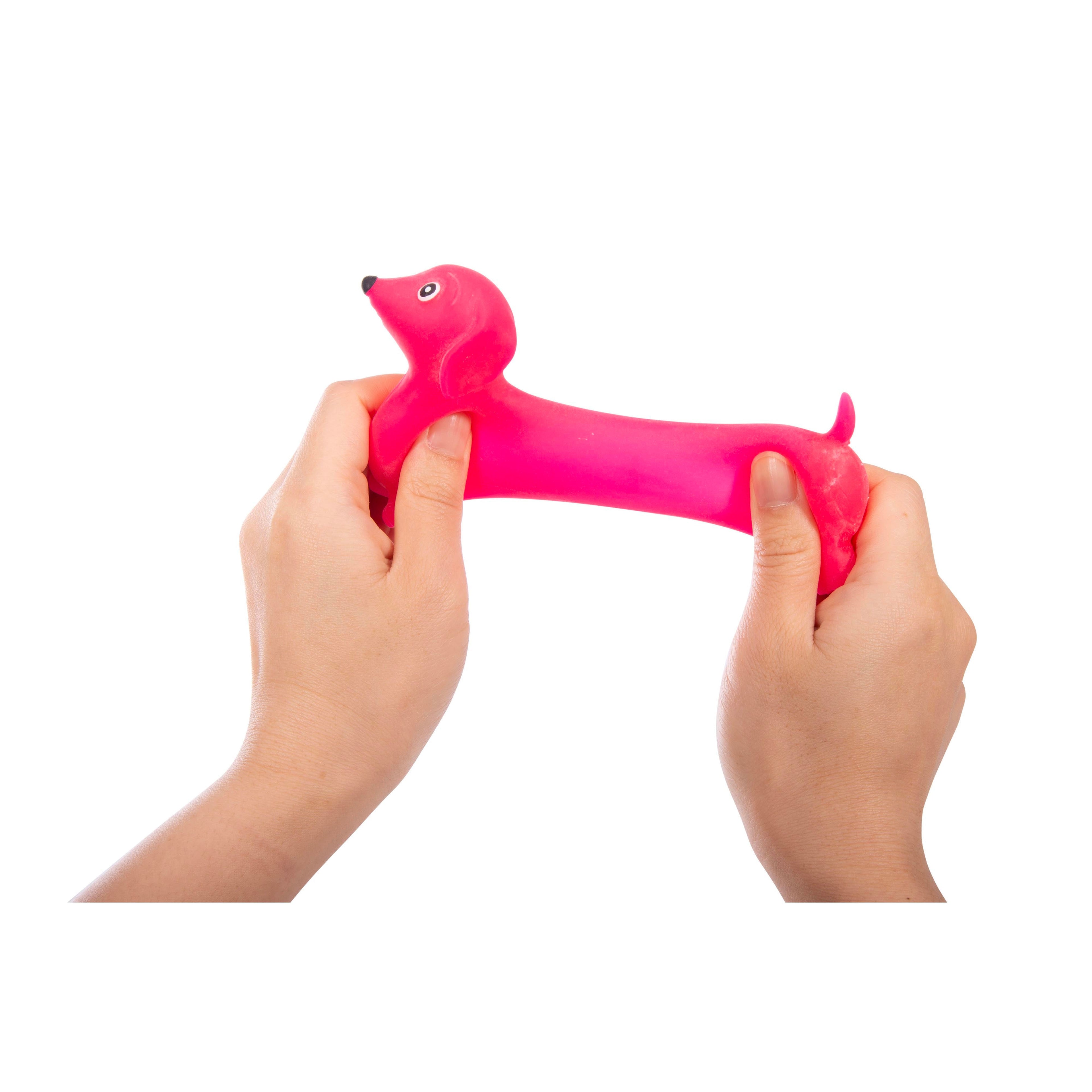 Discovery Zone Stretchy Sausage Dog - Neon Cdu 12pcs/3 Assorted in Single