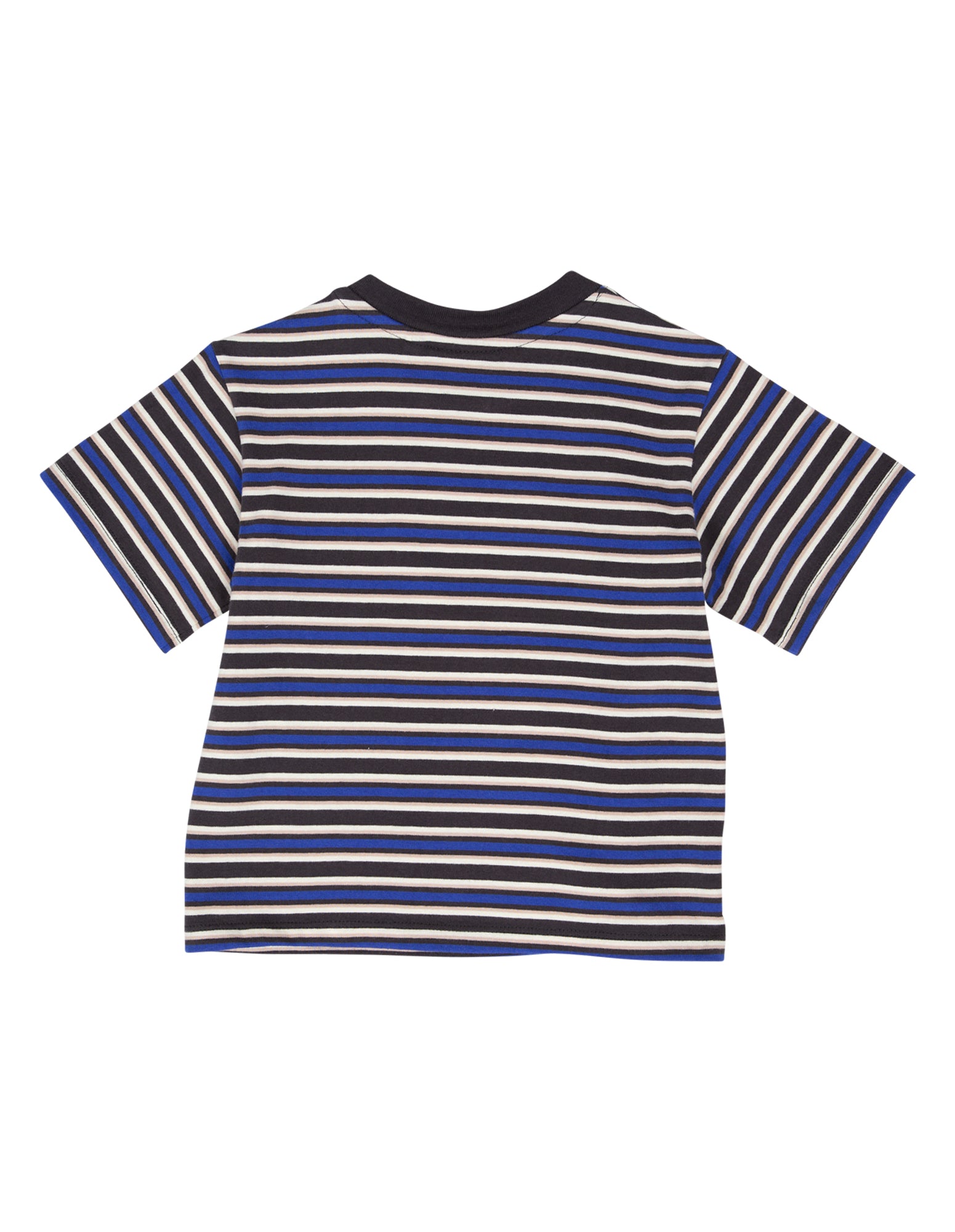 Animal Crackers Blaze Tee in STRIPE