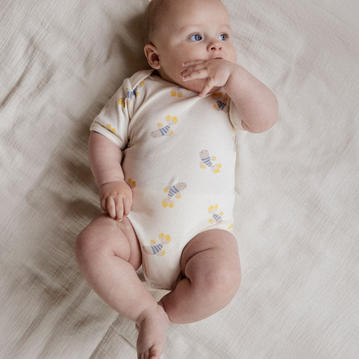 Nature Baby Short Sleeve Bodysuit in Fish Fable Print