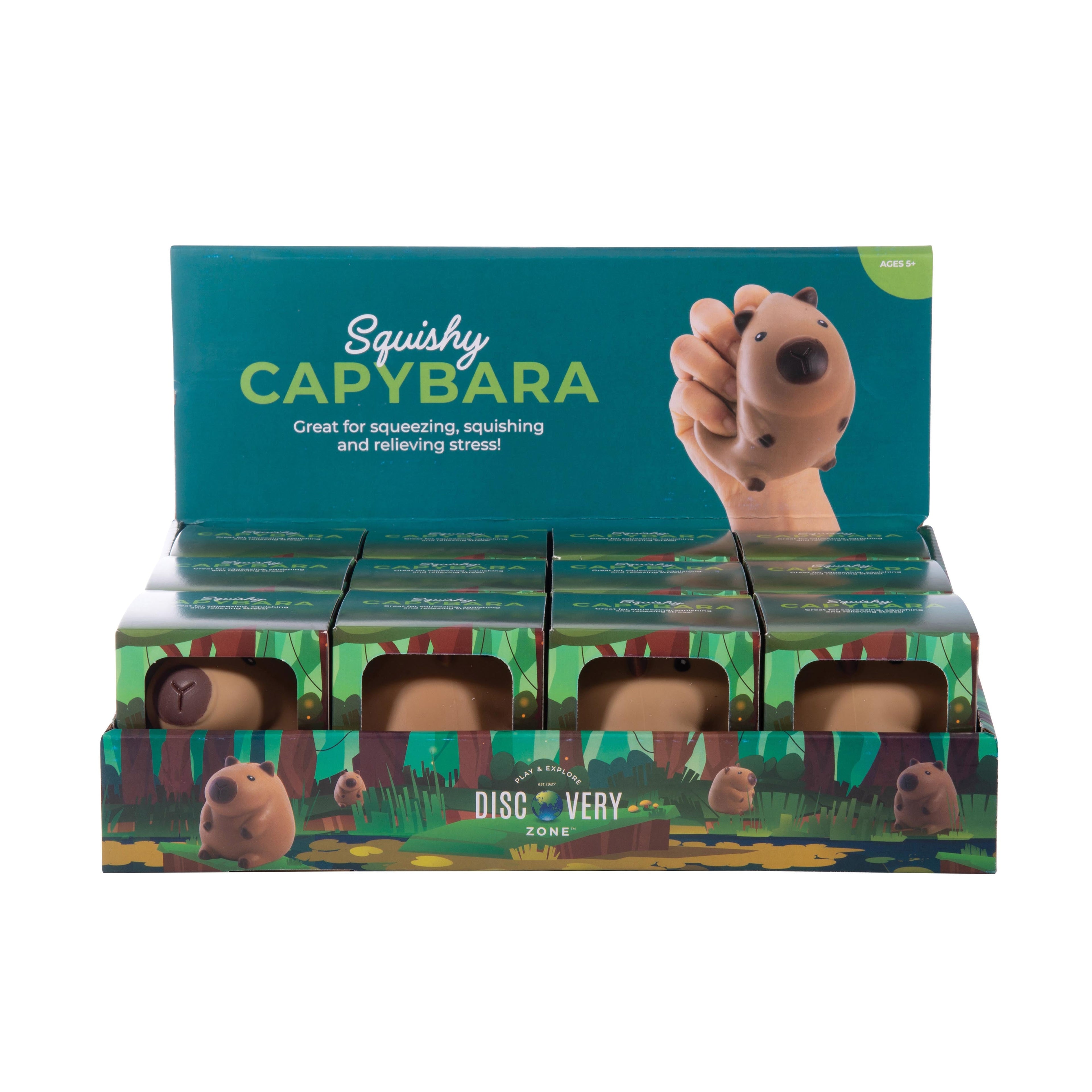 Discovery Zone Squishy Capybara Cdu 12pcs Brown in Single